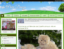 Tablet Screenshot of dupairidaeza.chats-de-france.com