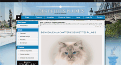Desktop Screenshot of petitesplumes.chats-de-france.com
