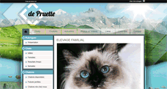 Desktop Screenshot of depruette.chats-de-france.com