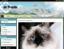 Tablet Screenshot of depruette.chats-de-france.com