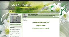 Desktop Screenshot of desbleusdehouna.chats-de-france.com