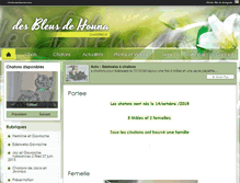 Tablet Screenshot of desbleusdehouna.chats-de-france.com